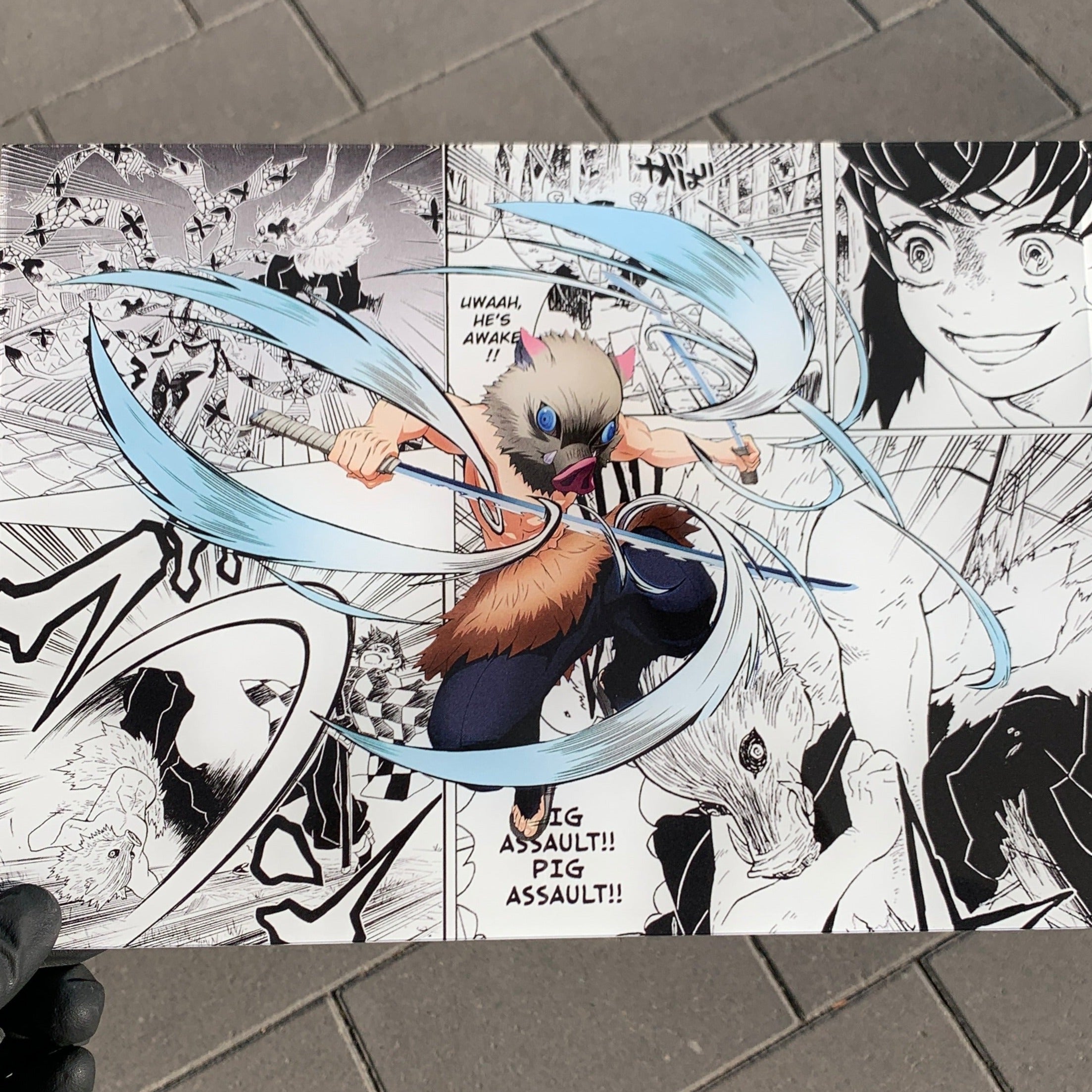 Demon Slayer Glas Prints (Manga)